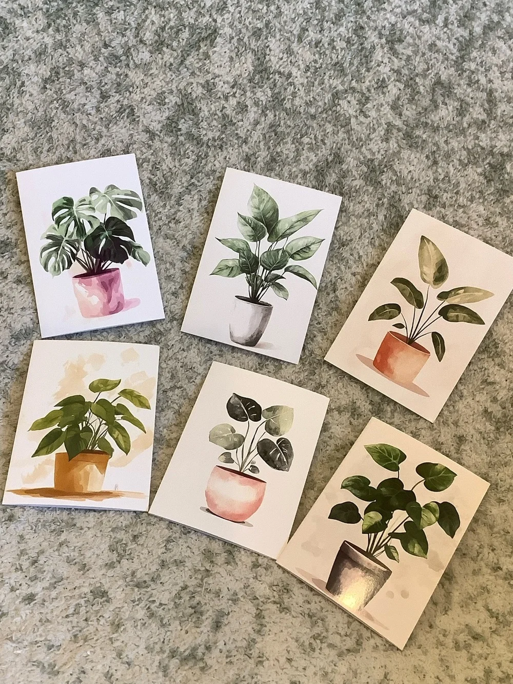 Potted Tropical Plants Note Cards Variety Pack Set of 6 Blank inside NWT HC